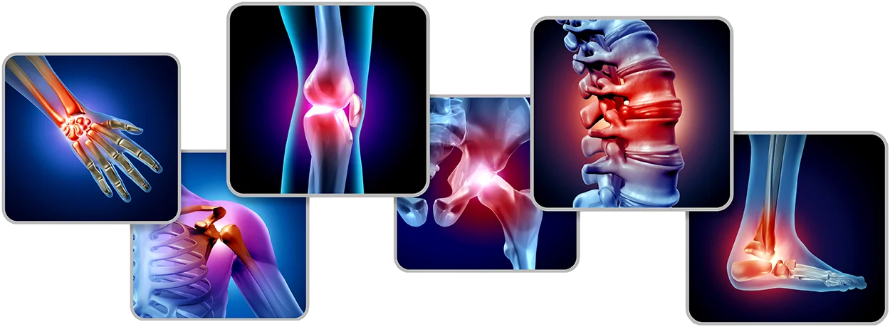 physical-therapy-poriton